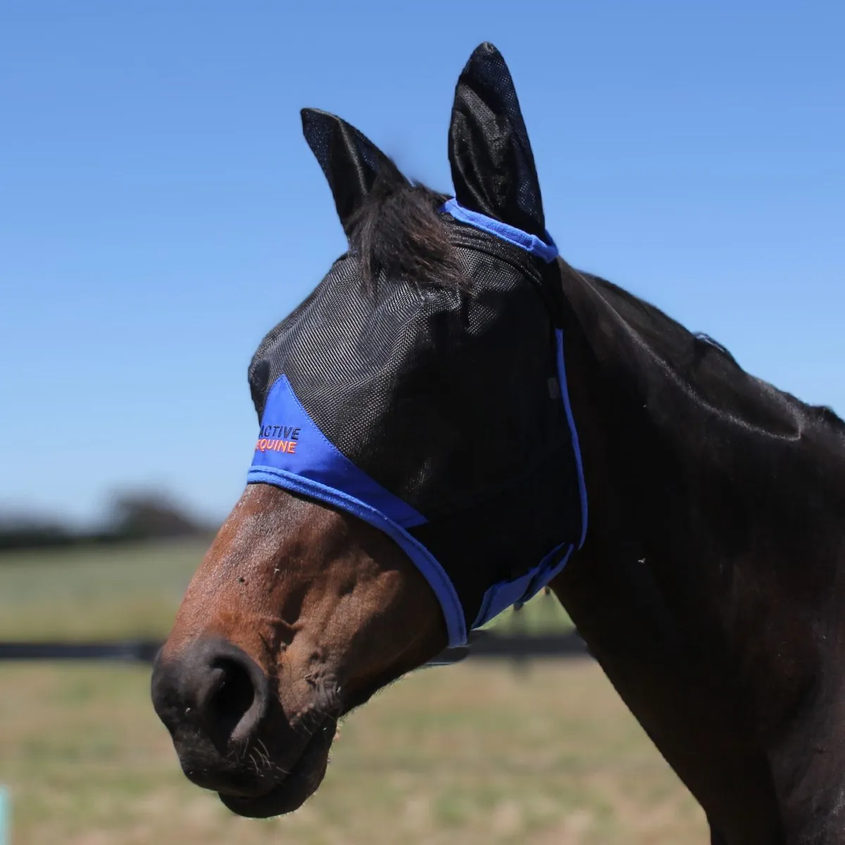 AE Deluxe Fly Mask (with ears)