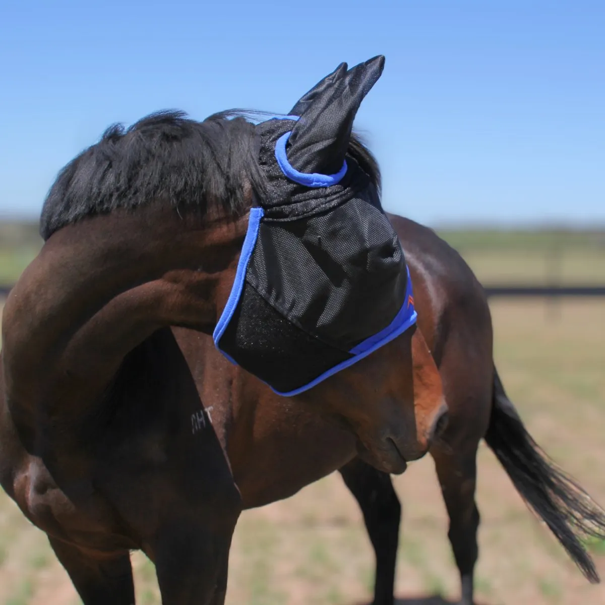 AE Deluxe Fly Mask (with ears)