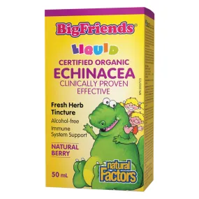 Big Friends Echinacea No Alcohol Tincture