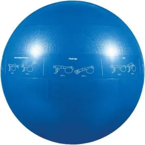 GoFit GF-55PRO Professional Grade Core Stability Ball (55cm Blue)