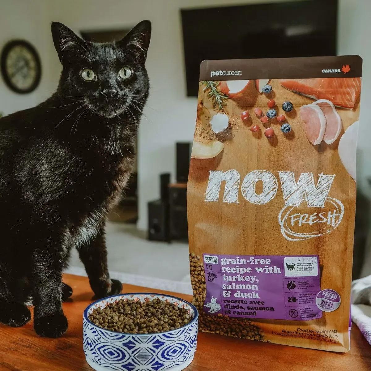 Grain Free Turkey Duck & Salmon Senior Cat Dry Food