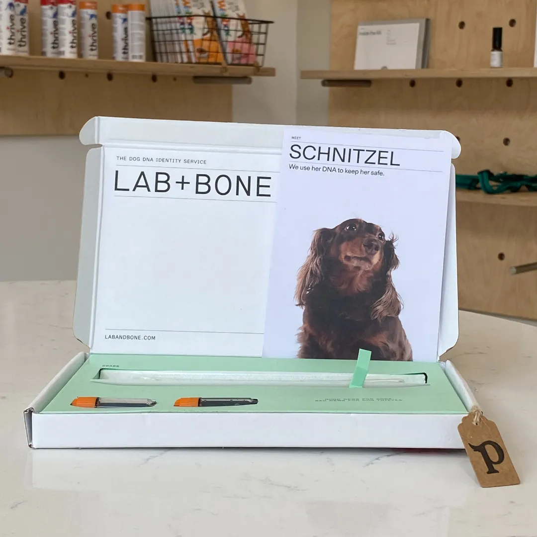 Lab   Bone DNA Identity Kit