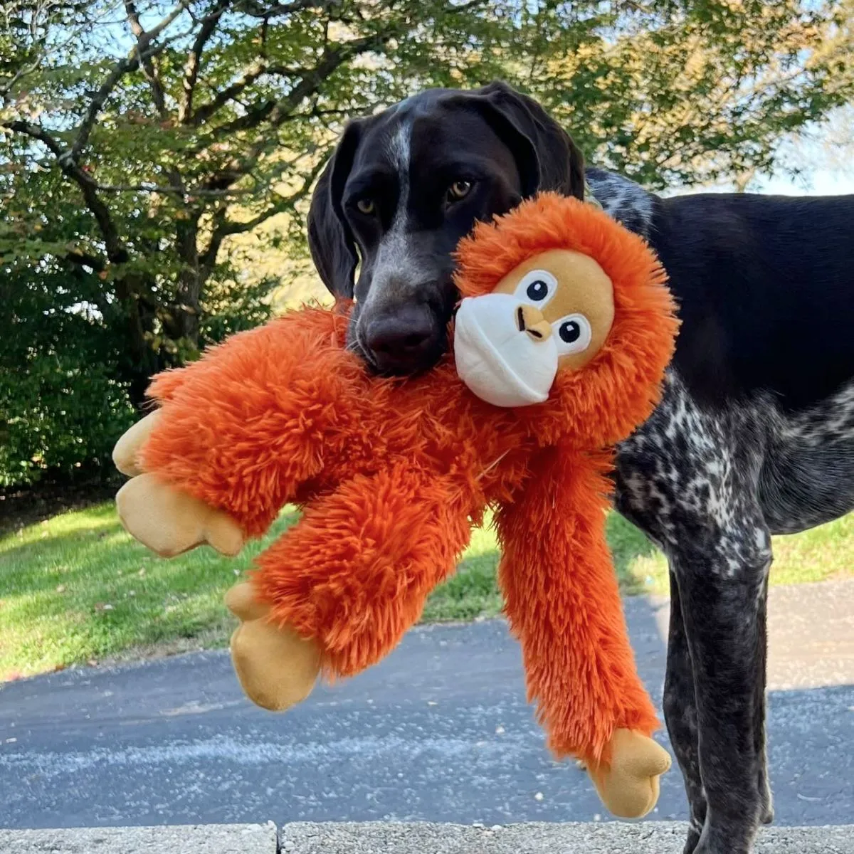 Orange Orangutan Dog Toy - 14"