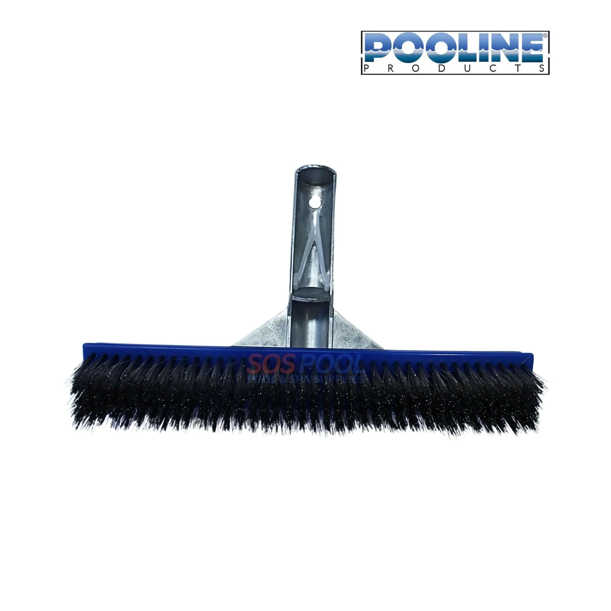 Pooline Stainless Steel Brush for Black Algae, Rust Stain On Concrete, Calcium Build Up 10" | 11024B