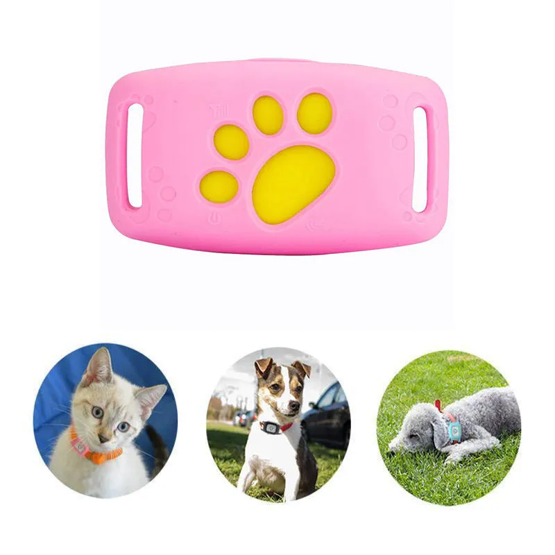 Smart GPS Cat Collar