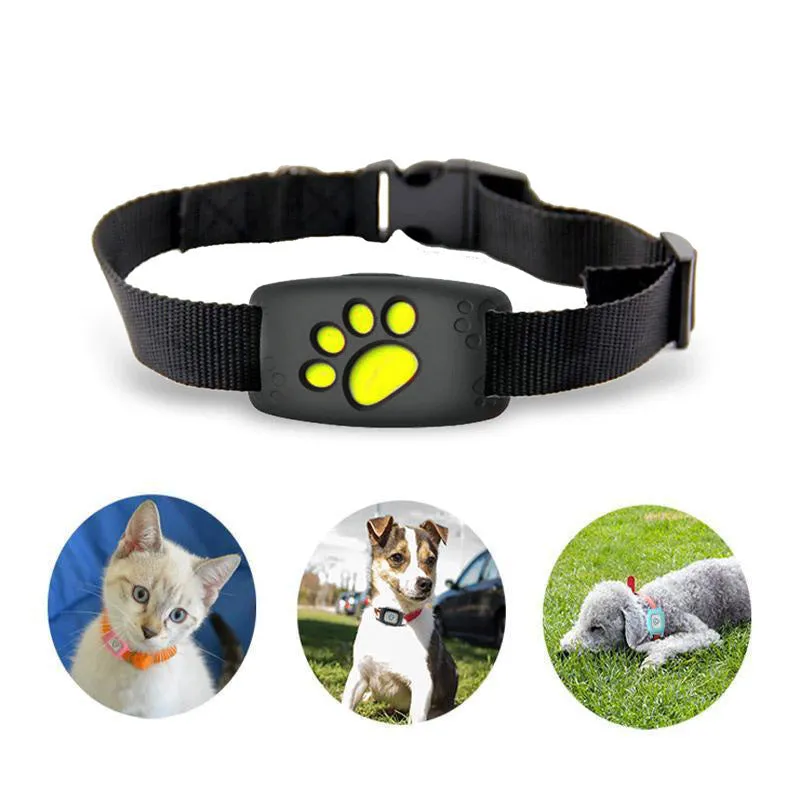 Smart GPS Cat Collar