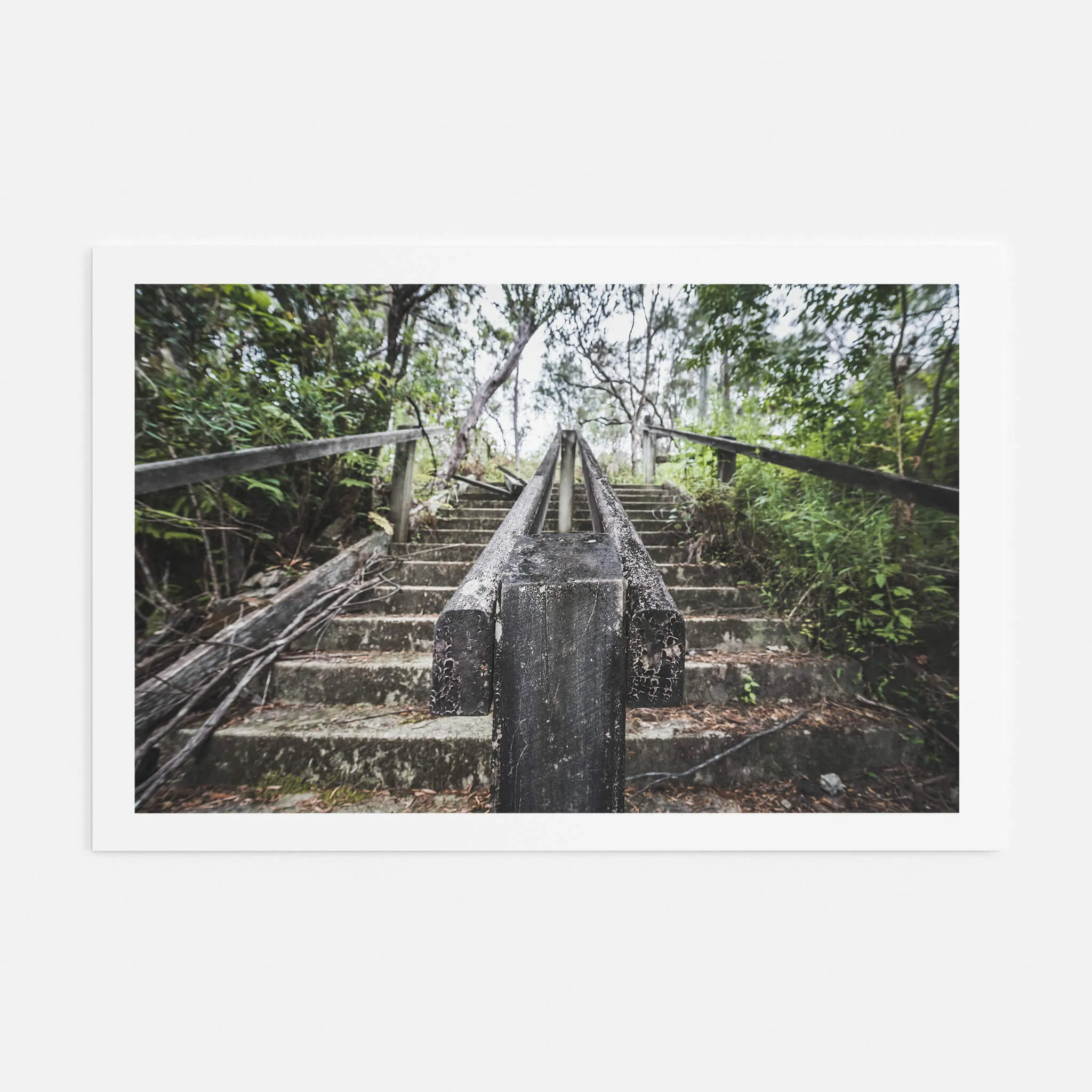 Stairs | Waratah Park