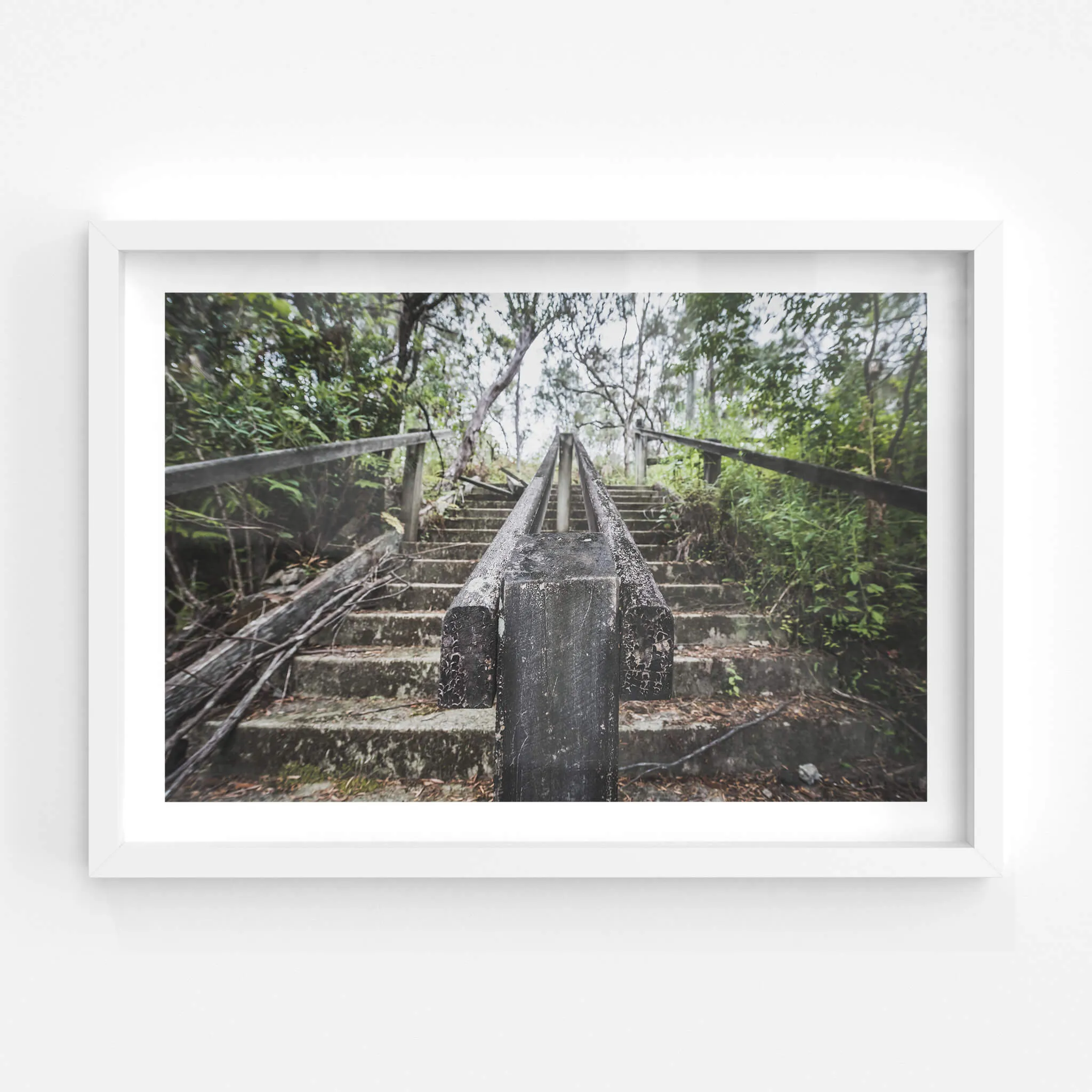 Stairs | Waratah Park