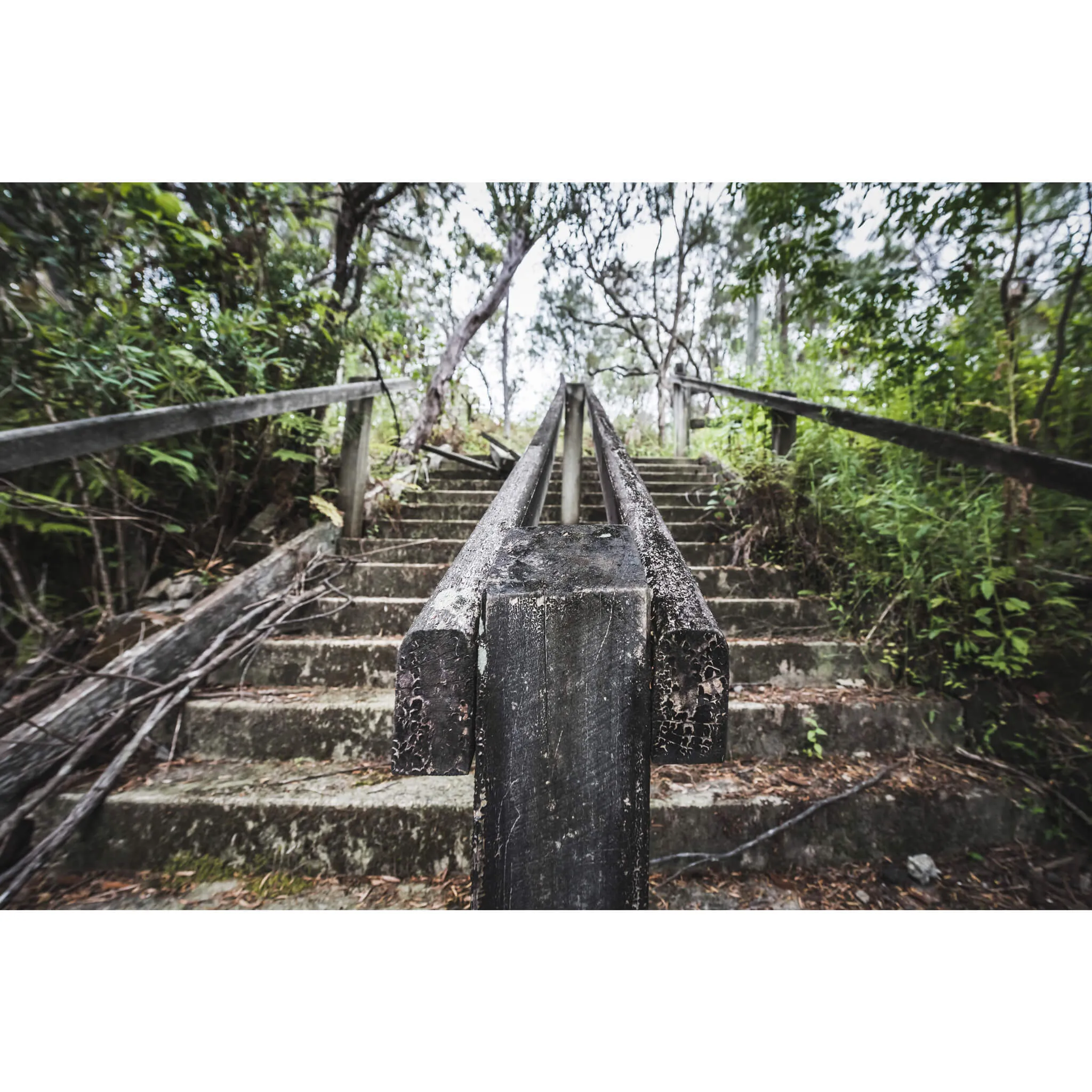 Stairs | Waratah Park