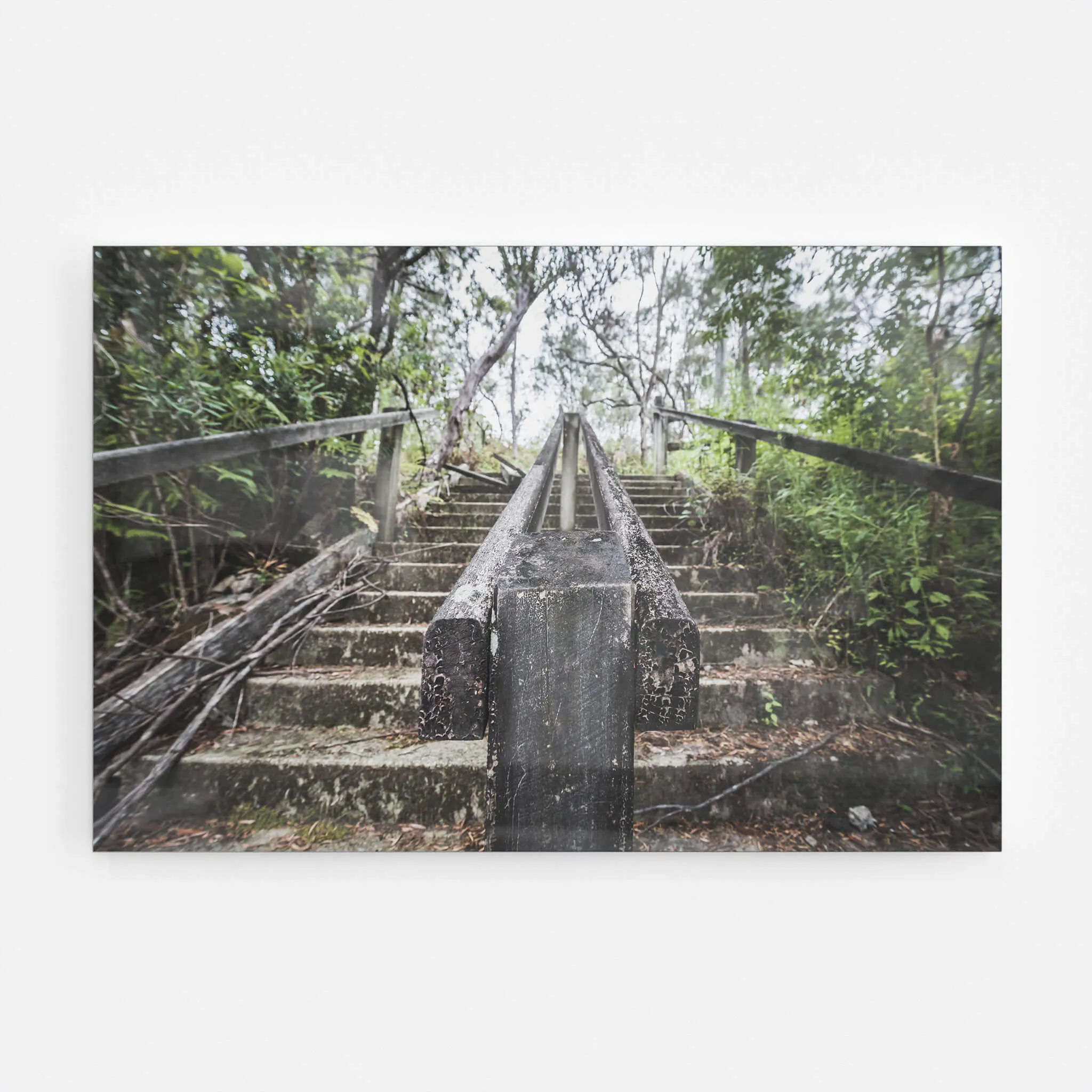 Stairs | Waratah Park