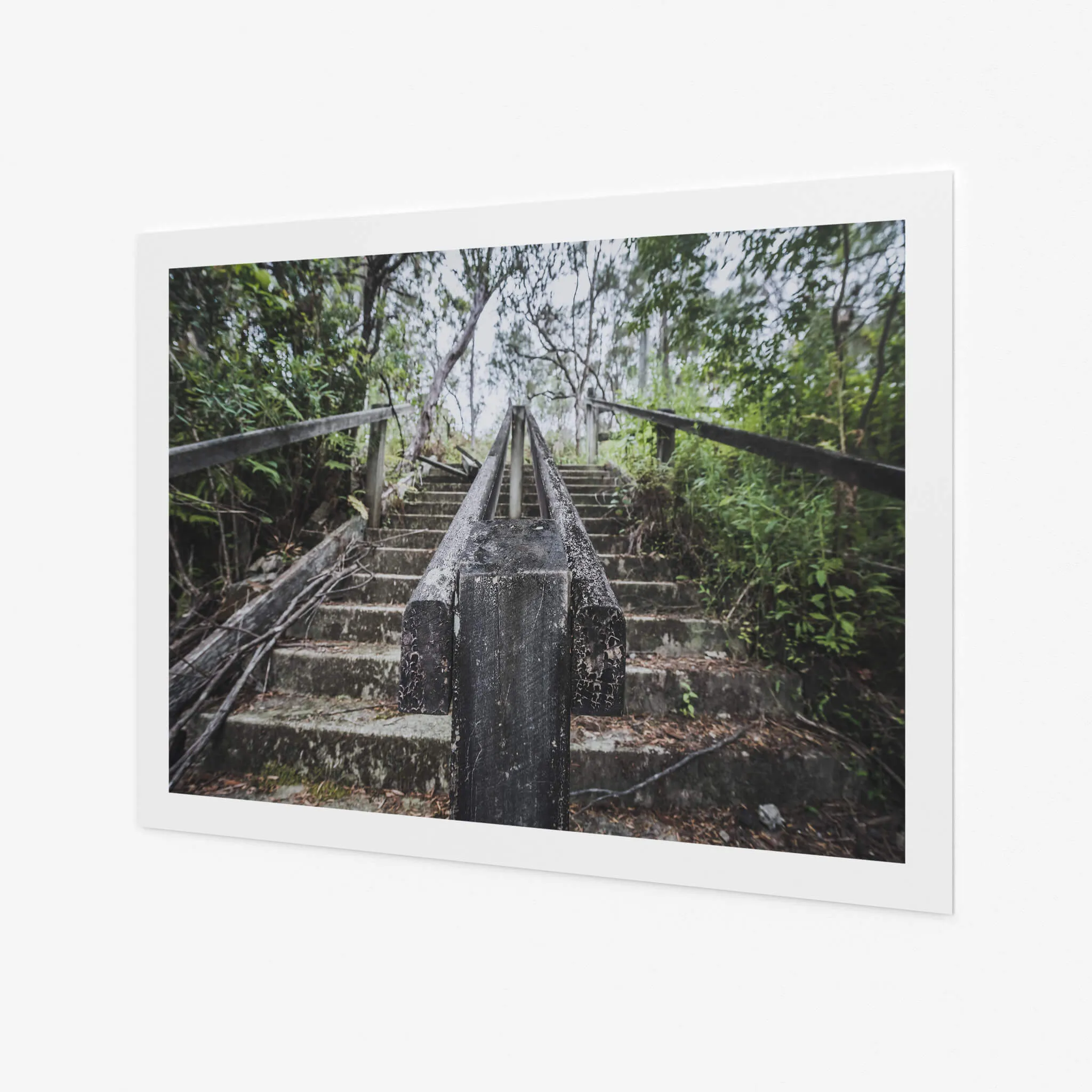 Stairs | Waratah Park