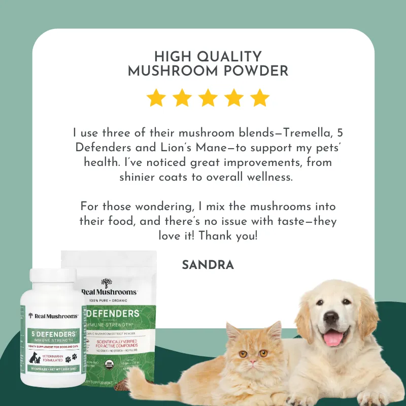 Total Immunity Support Bundle for Dogs and Cats